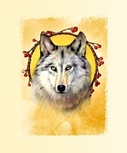 Animal Guides